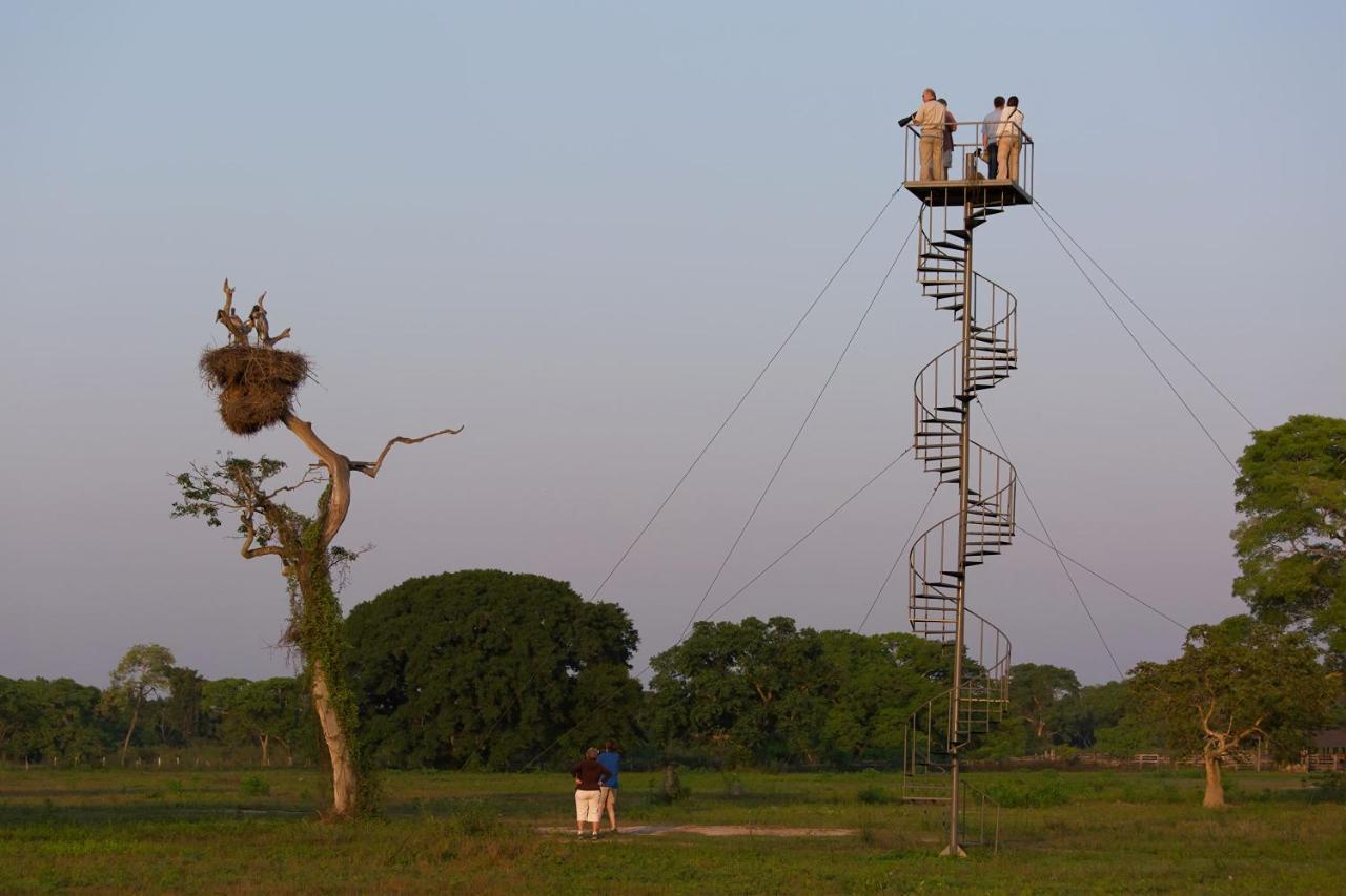 Southwild Pantanal Lodge Pixaim Zewnętrze zdjęcie