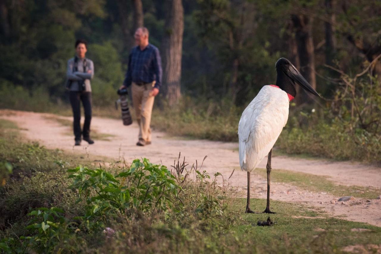 Southwild Pantanal Lodge Pixaim Zewnętrze zdjęcie
