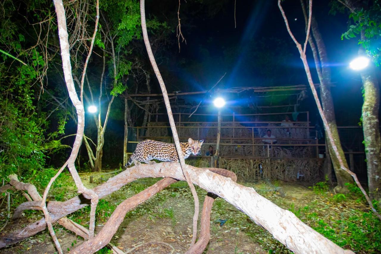 Southwild Pantanal Lodge Pixaim Zewnętrze zdjęcie