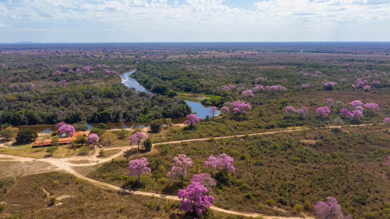 Southwild Pantanal Lodge Pixaim Zewnętrze zdjęcie