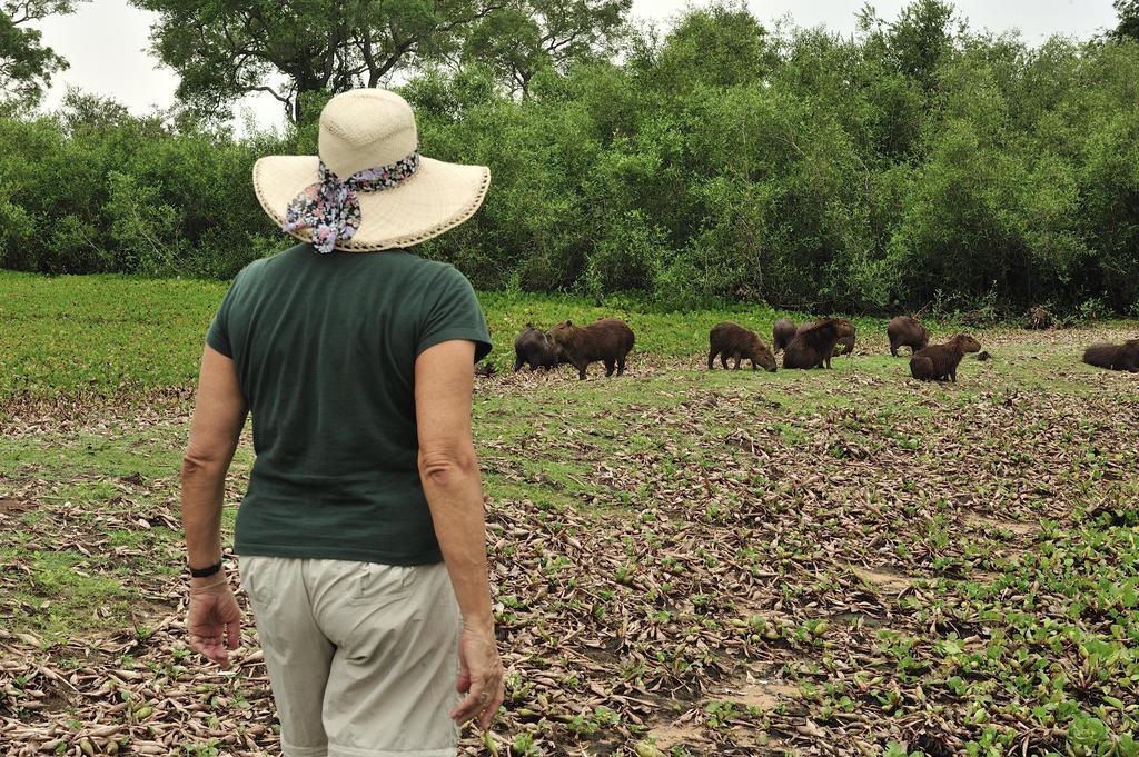 Southwild Pantanal Lodge Pixaim Zewnętrze zdjęcie