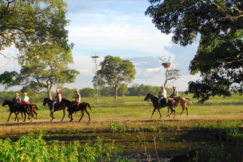 Southwild Pantanal Lodge Pixaim Zewnętrze zdjęcie