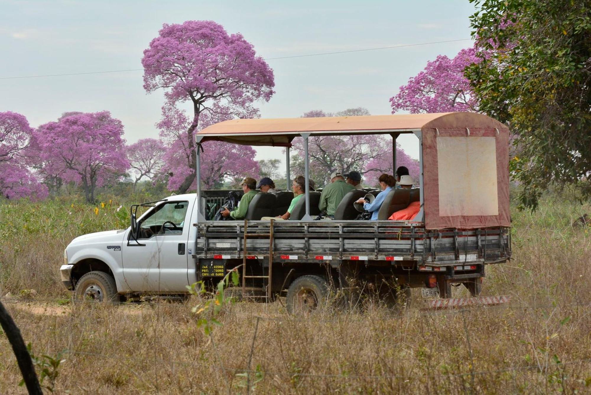 Southwild Pantanal Lodge Pixaim Zewnętrze zdjęcie